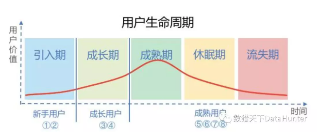 数据运营